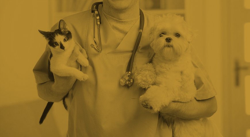 Alvará Consultório Médico Alvará Consultório Médico